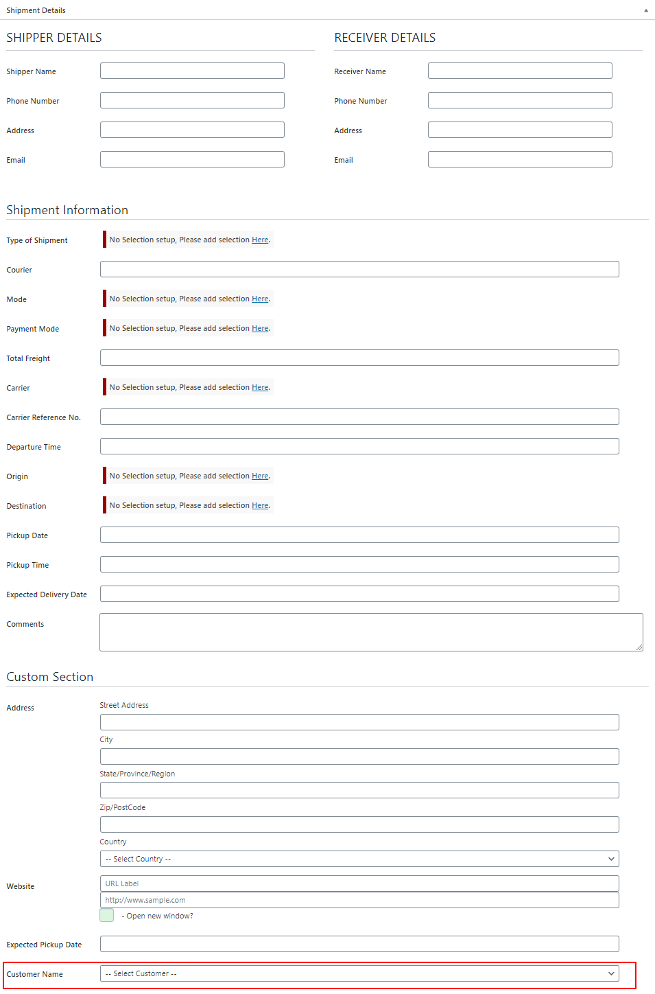 additional-dynamic-field-custom-section-after