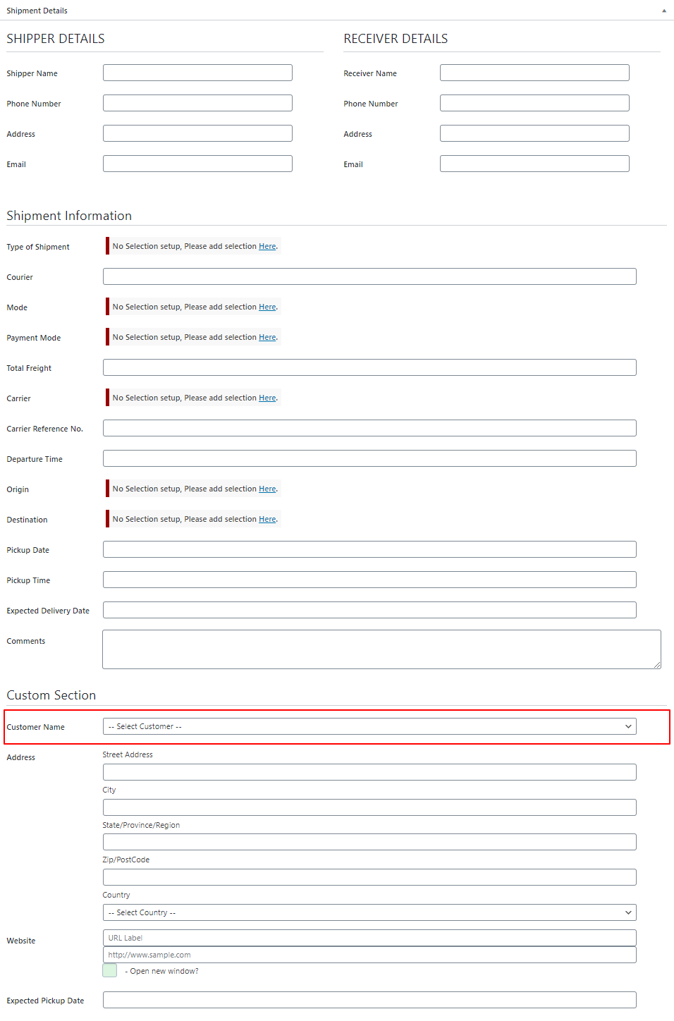 additional-dynamic-field-custom-section-before